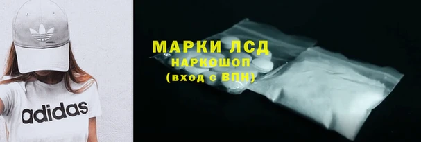 ГАЛЛЮЦИНОГЕННЫЕ ГРИБЫ Богданович