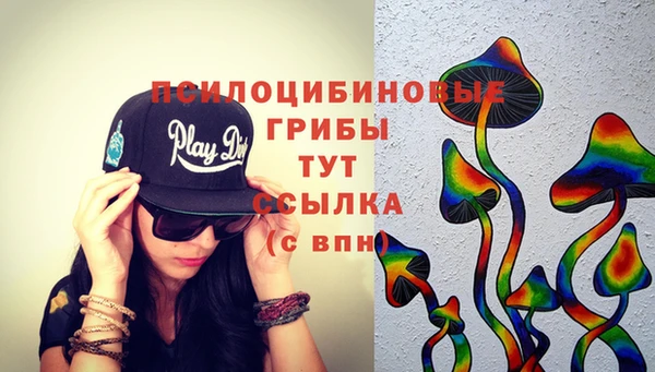 не бодяженный Бородино