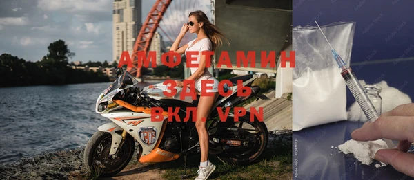 ГАЛЛЮЦИНОГЕННЫЕ ГРИБЫ Богданович