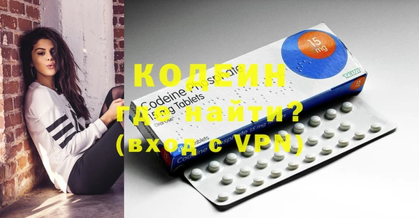 ГАЛЛЮЦИНОГЕННЫЕ ГРИБЫ Богданович