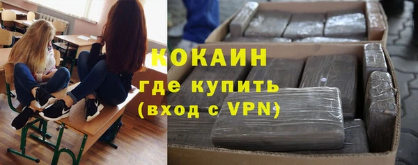 ГАЛЛЮЦИНОГЕННЫЕ ГРИБЫ Богданович